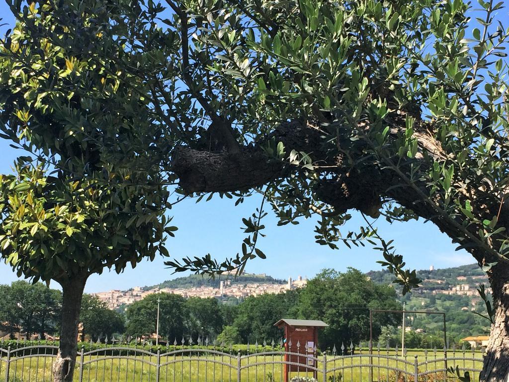 Ferienwohnung Residenza Il Rivo Rivotorto Exterior foto